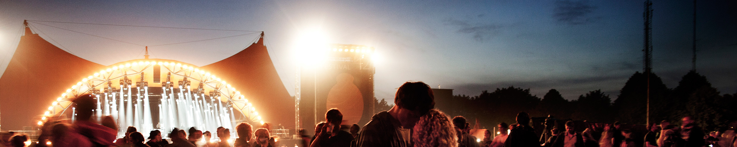Roskilde Festival 2014 banner background